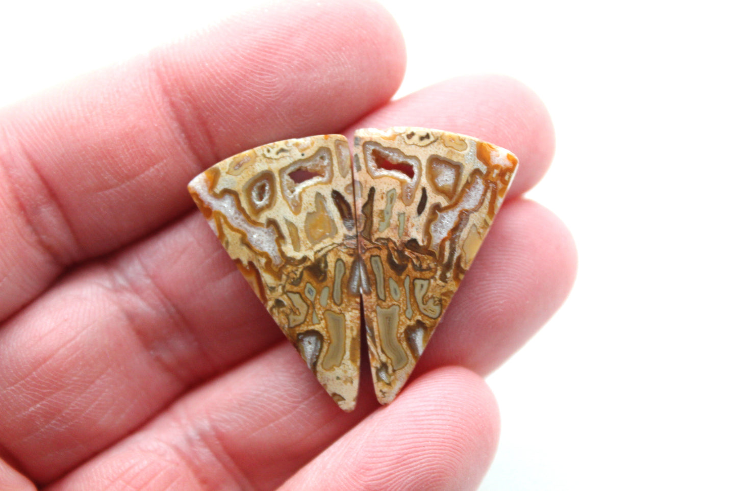 Fossil Palmwood Pair Cabochon Gemstone with druzy pockets