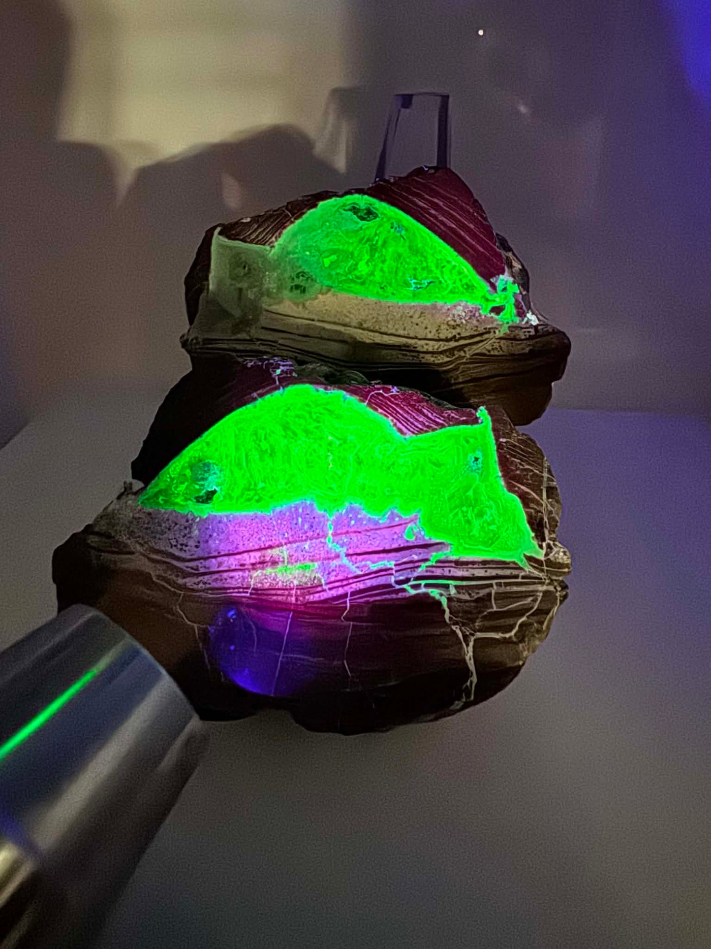 Thunderegg fluorescent Nodule polished Geode
