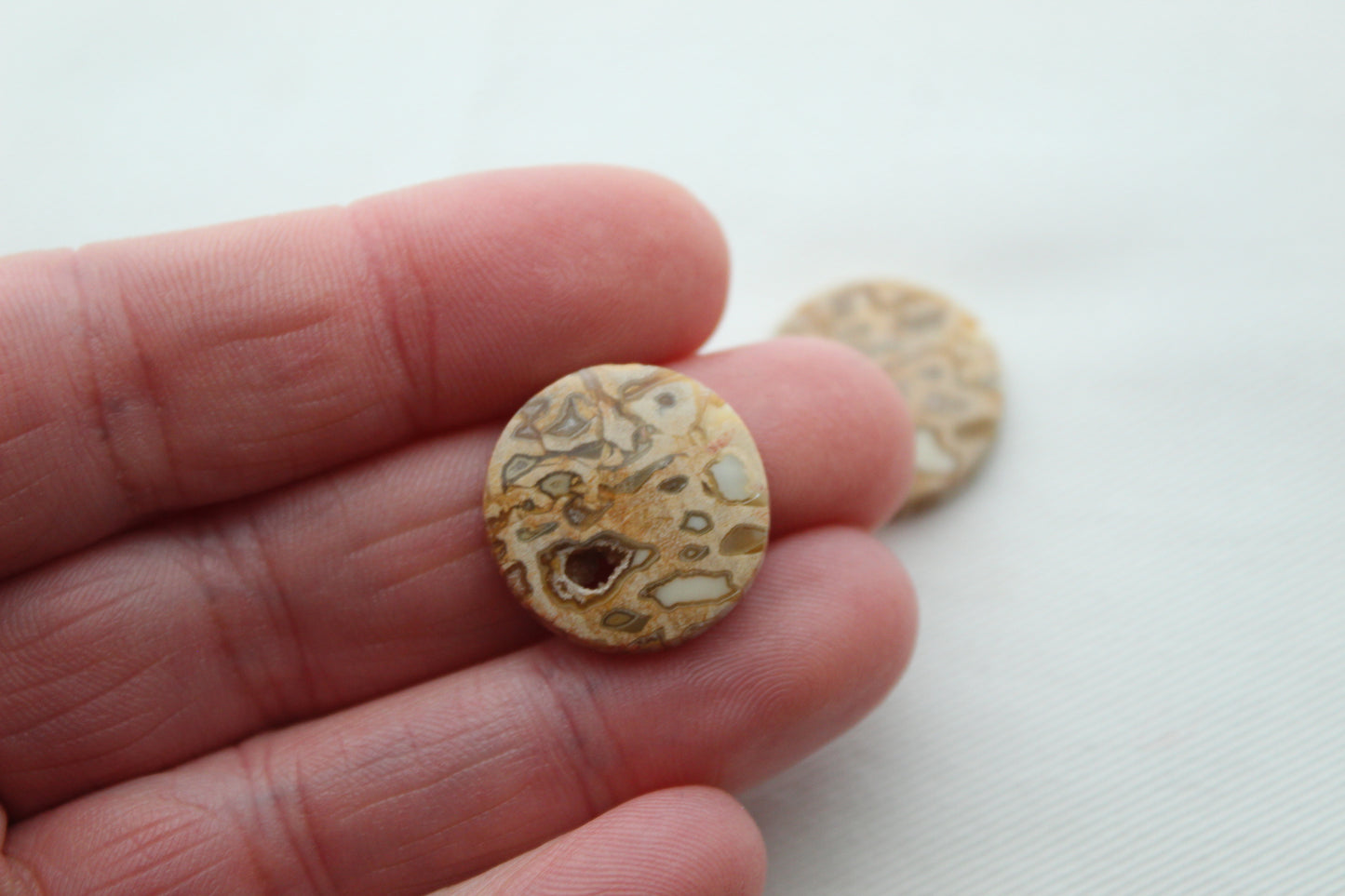 Fossil Palmwood Pair Cabochon Gemstone with druzy pockets