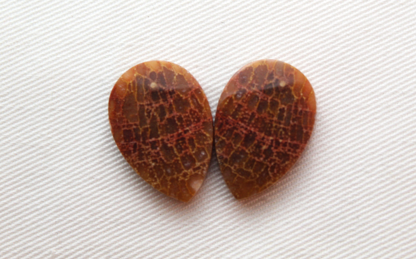 Nice Fossil wood Cabochon Pair pear