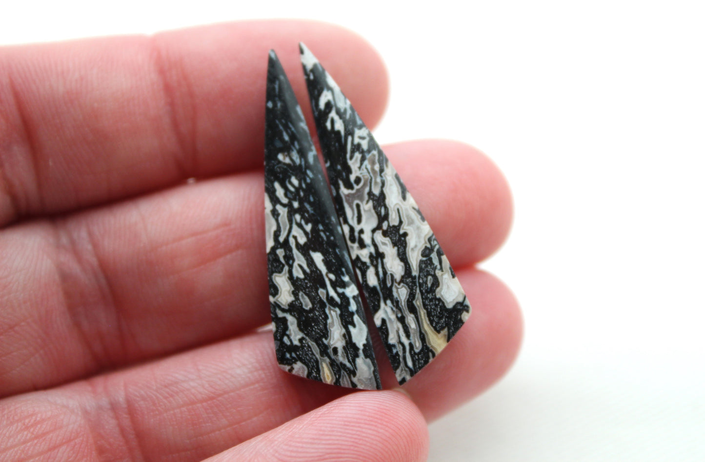 Fossilized Wood Pair of Gemstones cabochon white natural