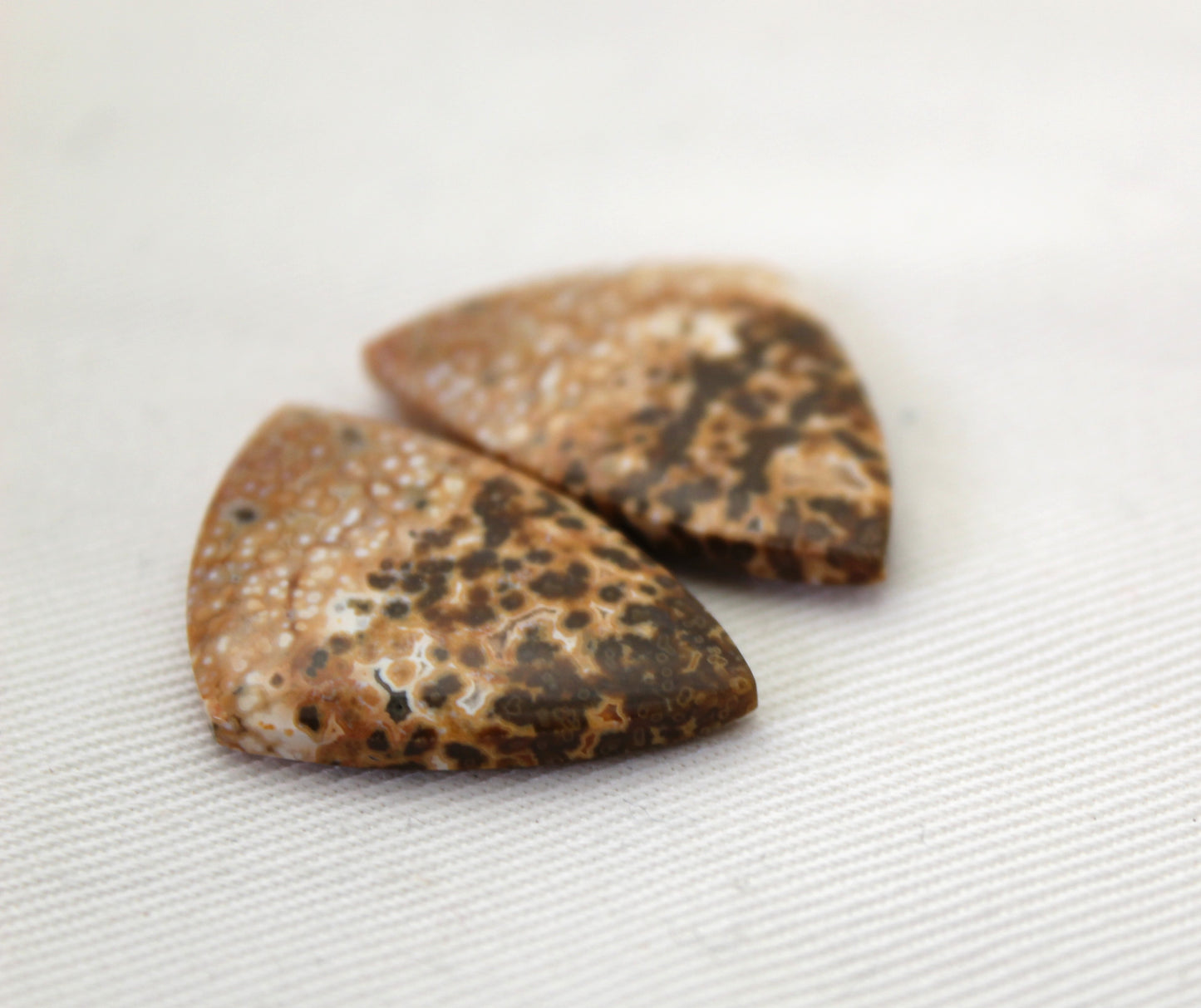 River Jasper Cabochon Pair Gemstone green beige triangle