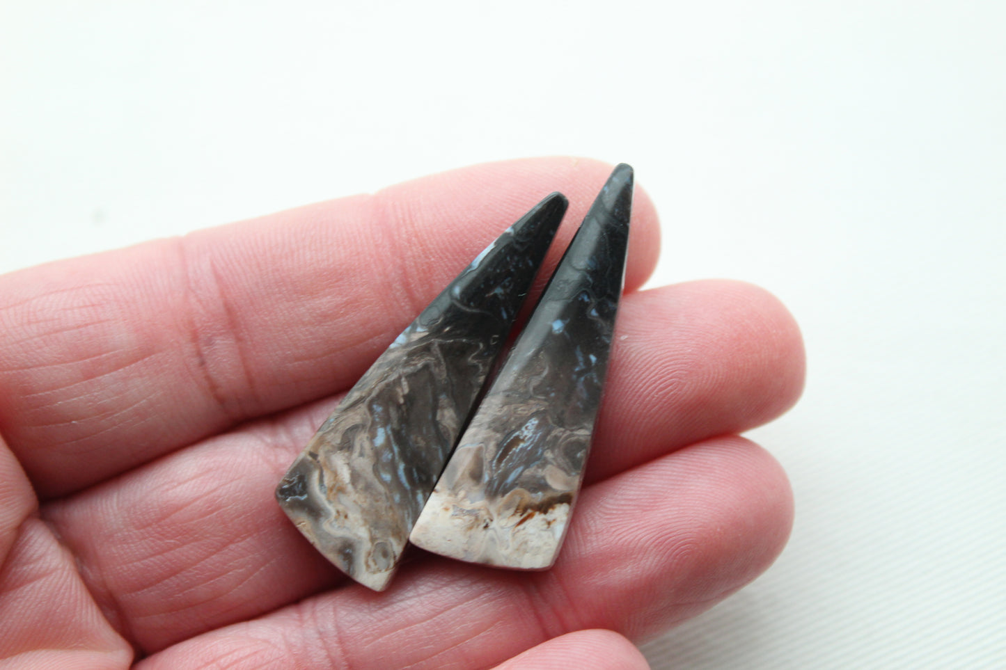 Petrified Palm Wood Cabochon Pair triangle