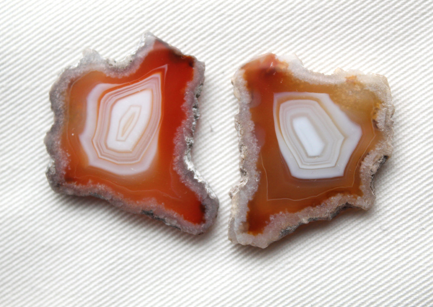 Sliced Agate Pair Gemstones freeform natural
