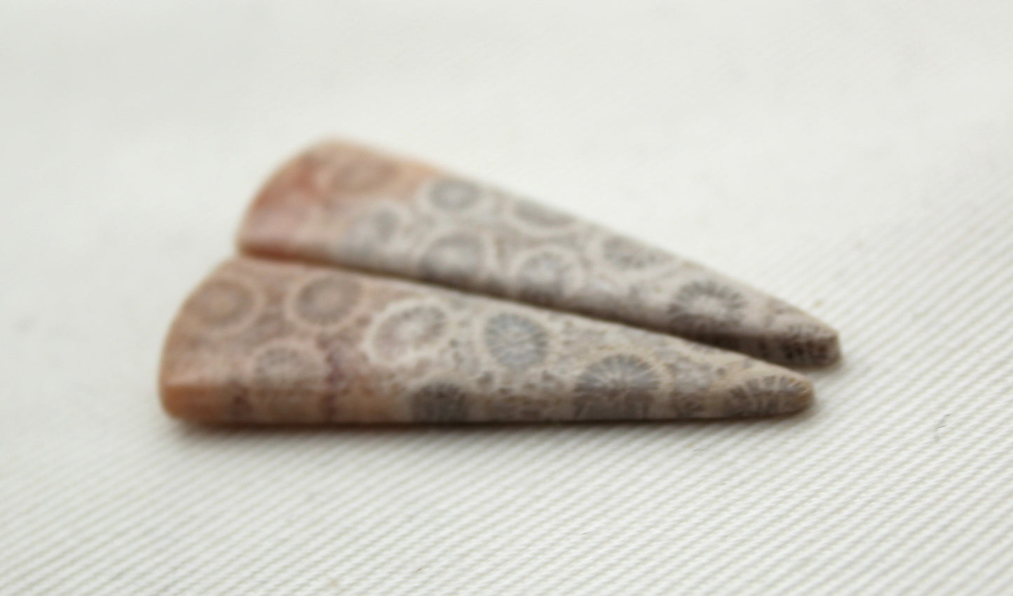 Thin Fossilized Coral Pair of Gemstones cabochon beige natural