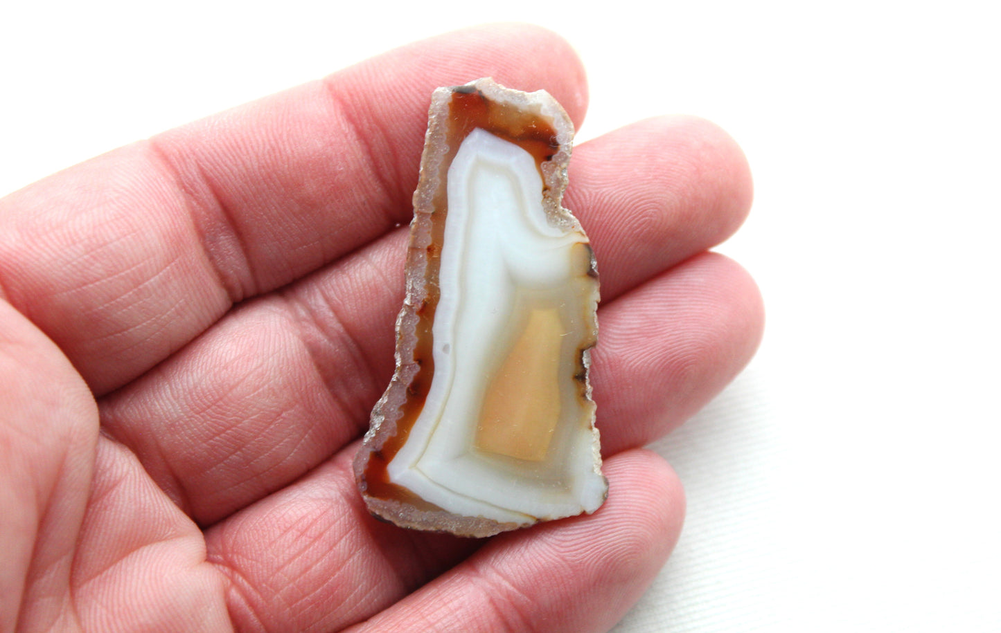 Sliced Agate Pair Gemstones freeform natural
