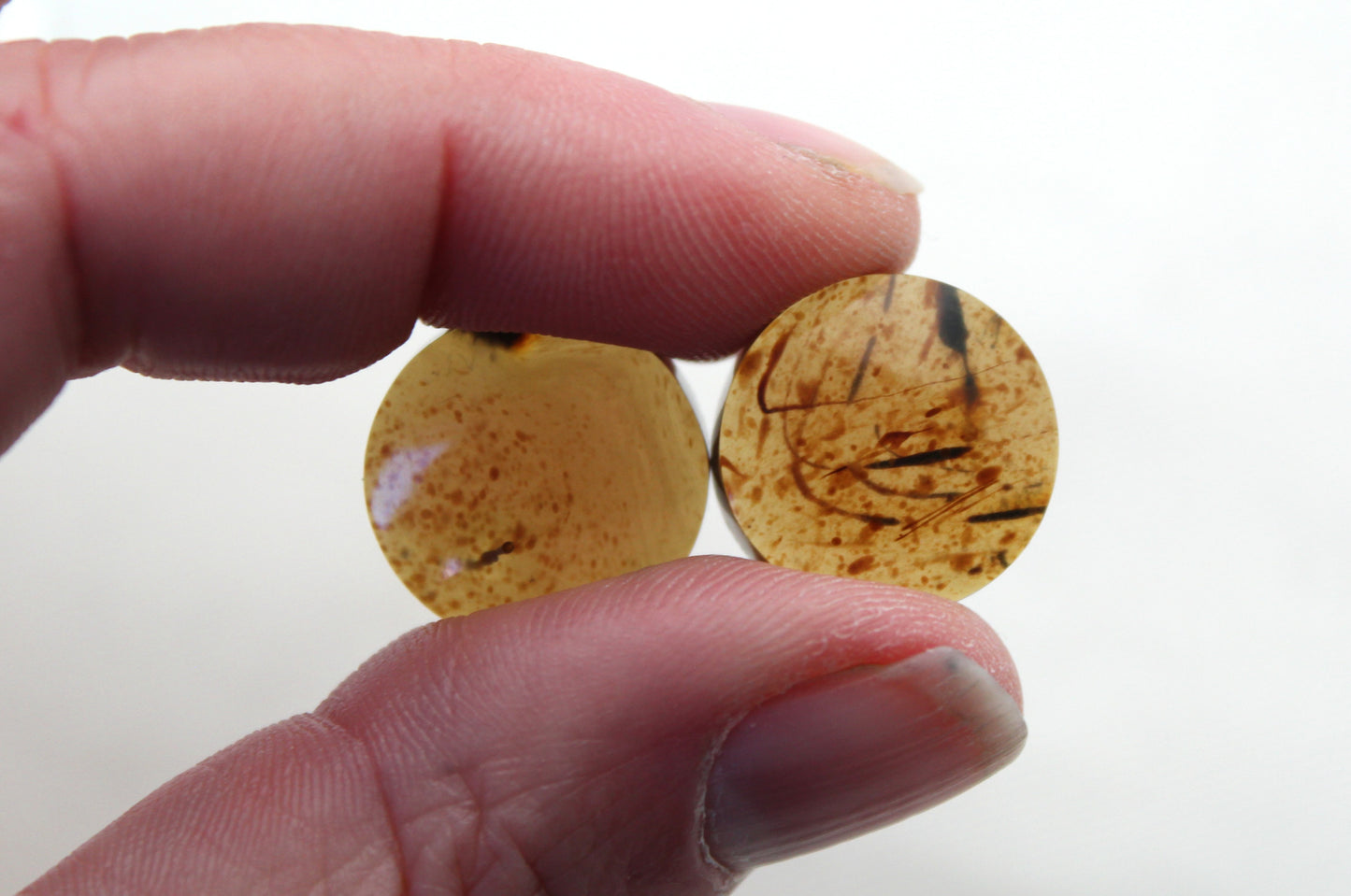 Fossil Palmwood Pair Cabochon Gemstone with druzy pockets Oval