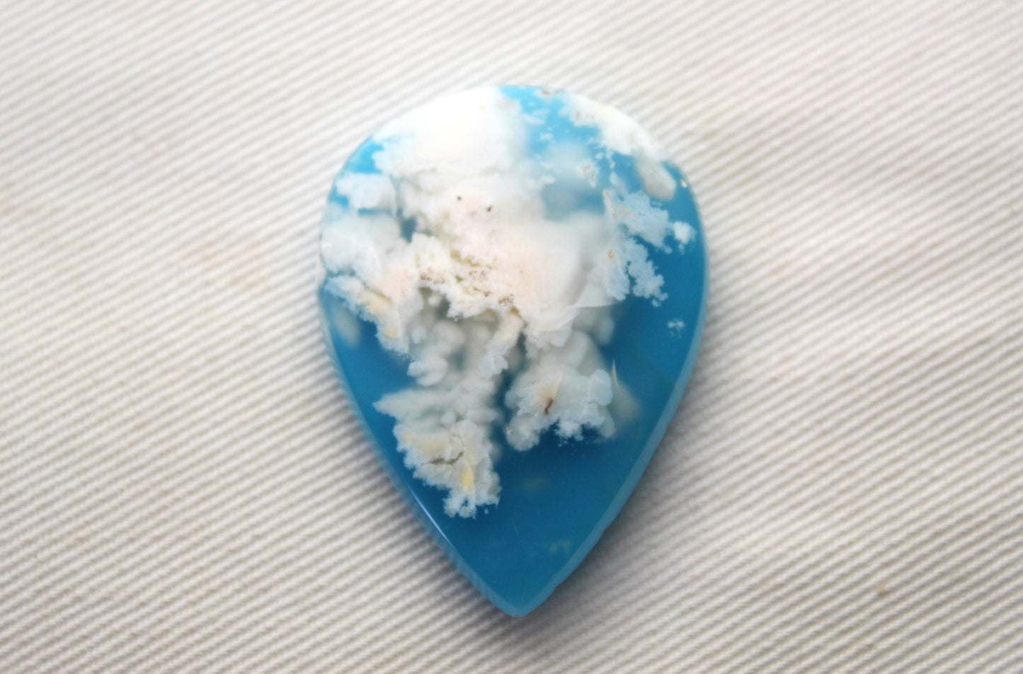 Fossil Palmwood Pair Cabochon Gemstone with druzy pockets Oval