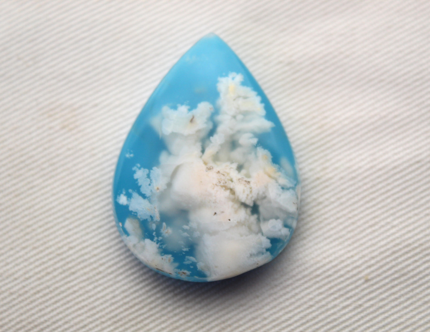 Fossil Palmwood Pair Cabochon Gemstone with druzy pockets Oval