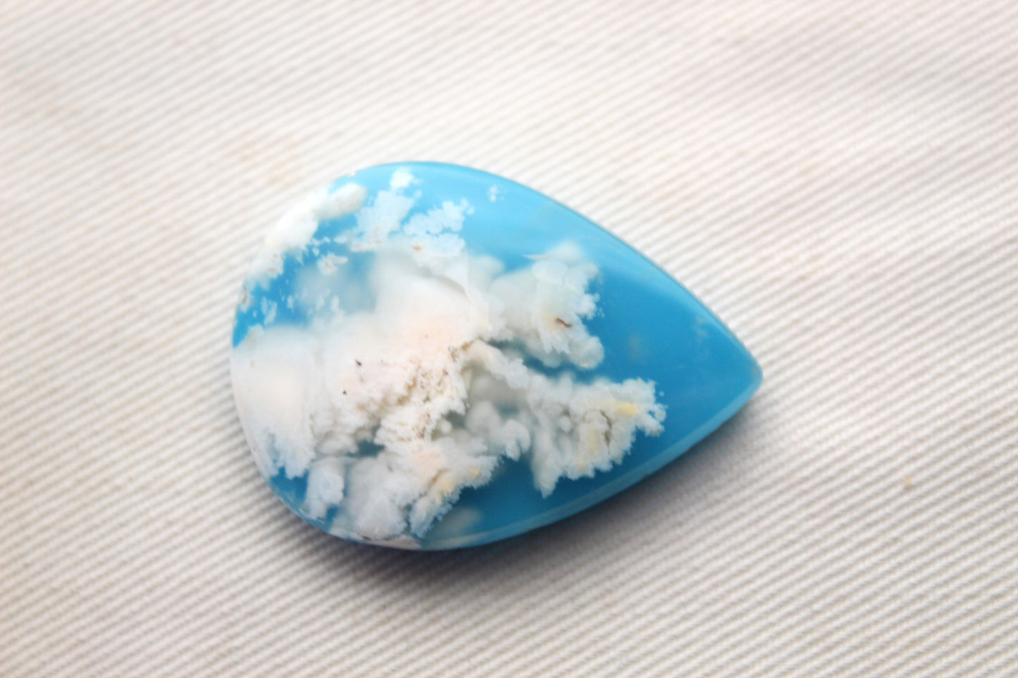 Fossil Palmwood Pair Cabochon Gemstone with druzy pockets Oval