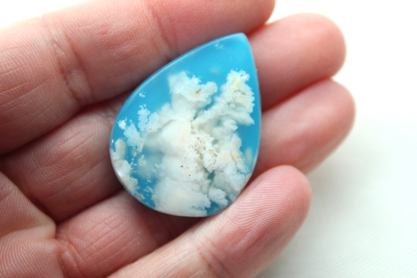 Fossil Palmwood Pair Cabochon Gemstone with druzy pockets Oval