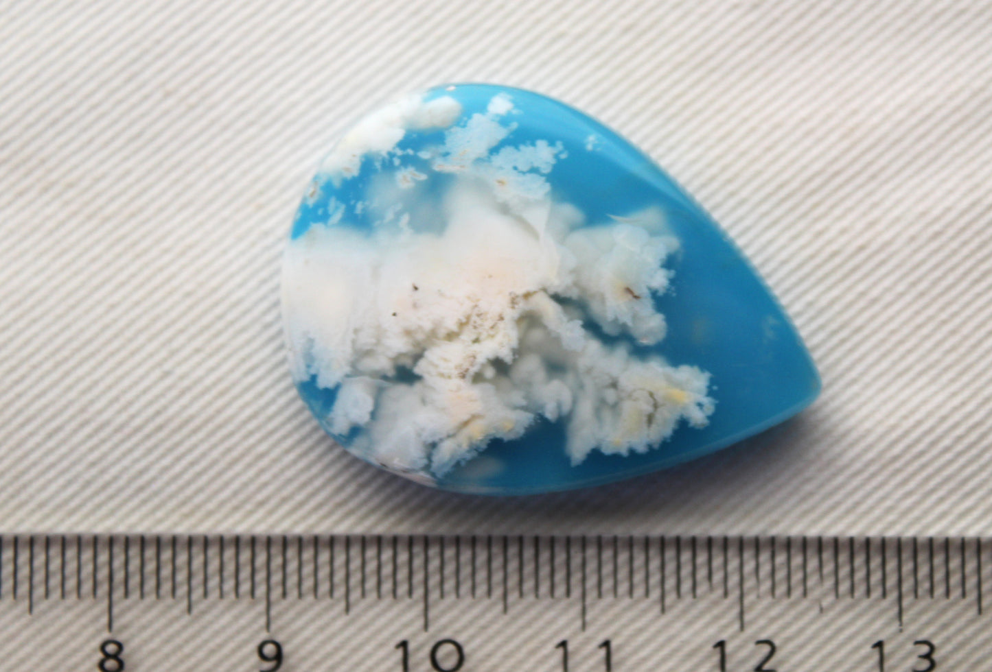 Fossil Palmwood Pair Cabochon Gemstone with druzy pockets Oval