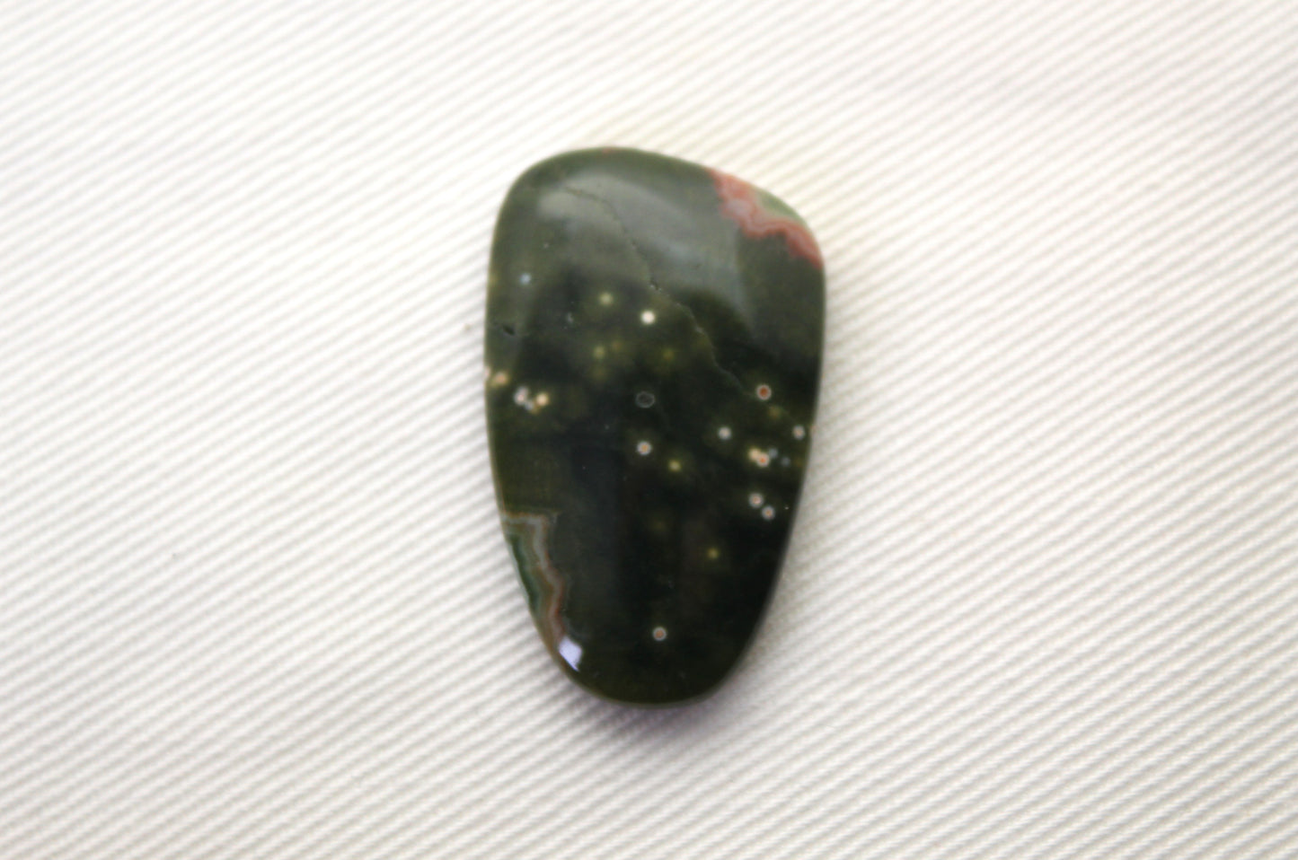 Fossil Palmwood Pair Cabochon Gemstone with druzy pockets Oval