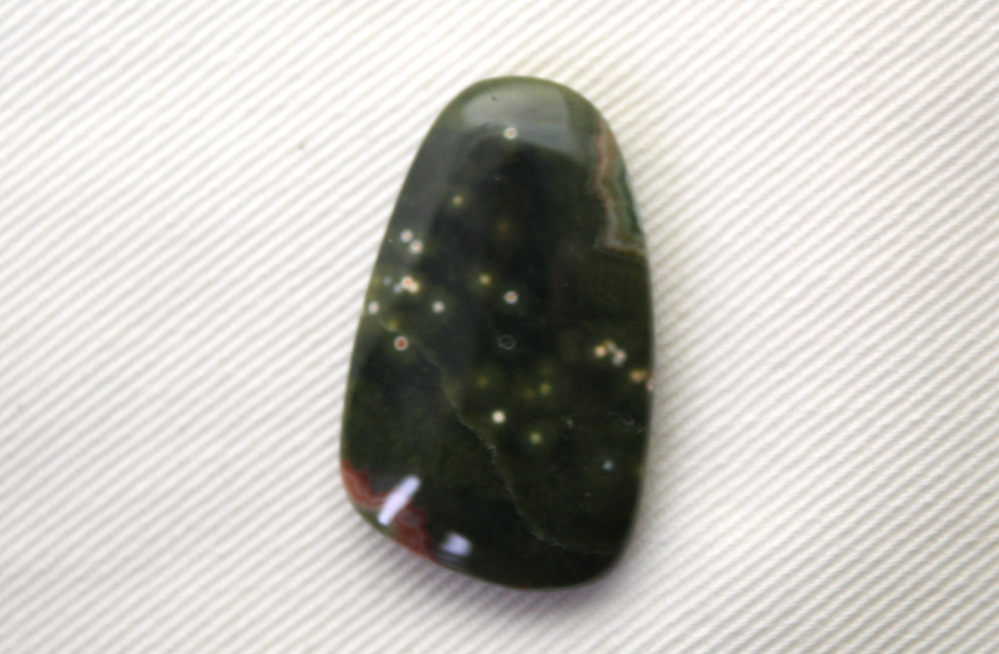 Fossil Palmwood Pair Cabochon Gemstone with druzy pockets Oval