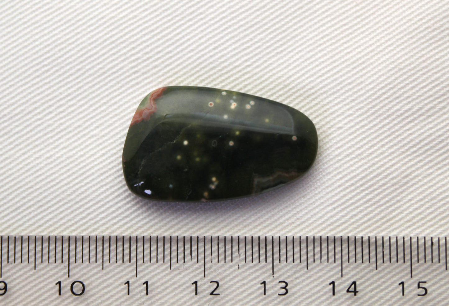 Fossil Palmwood Pair Cabochon Gemstone with druzy pockets Oval