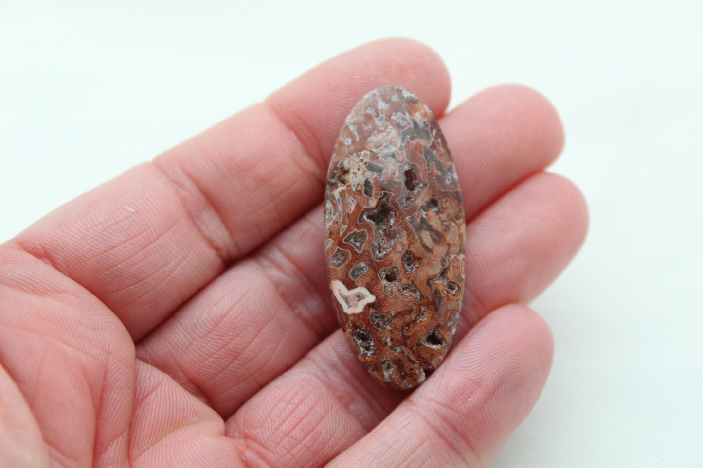 Red Palm Root Cabochon natural gemstone Oval with druzy