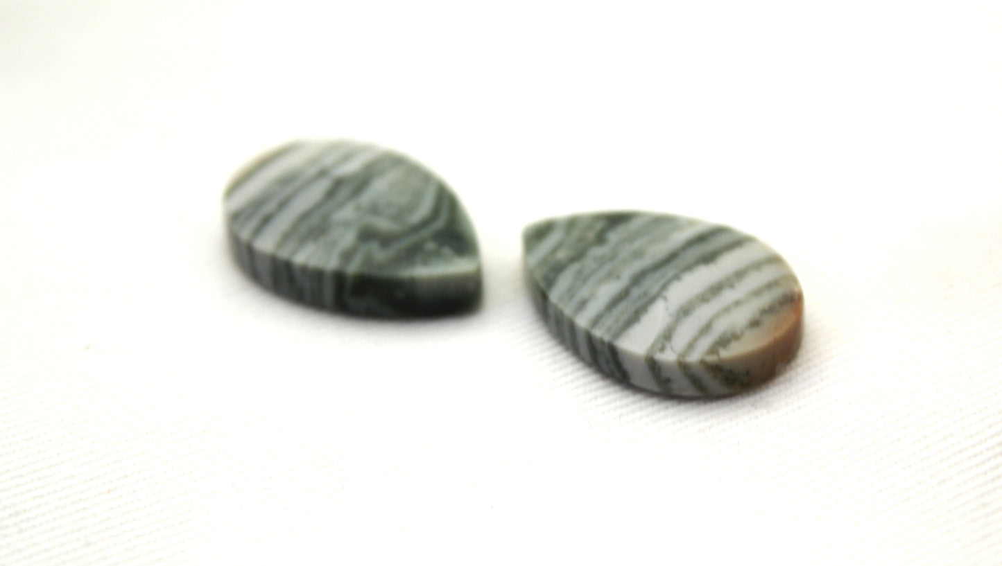 Pair of striped green Jasper Cabochons