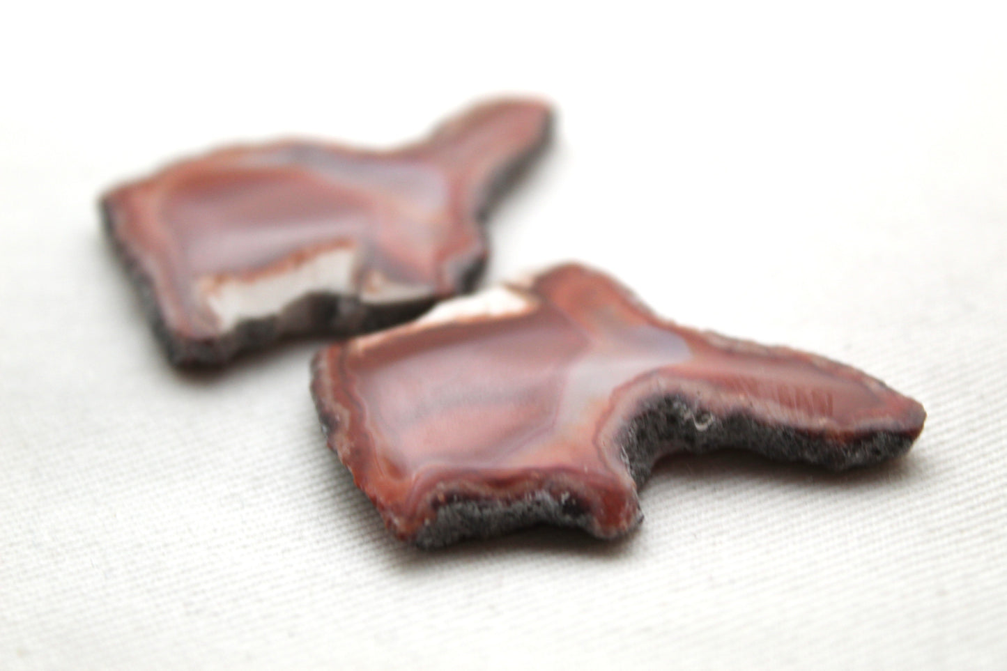 Sliced Agate Pair Gemstones freeform natural