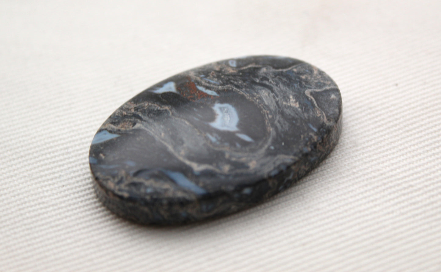 Petrified Palmwood Gemstone Oval
