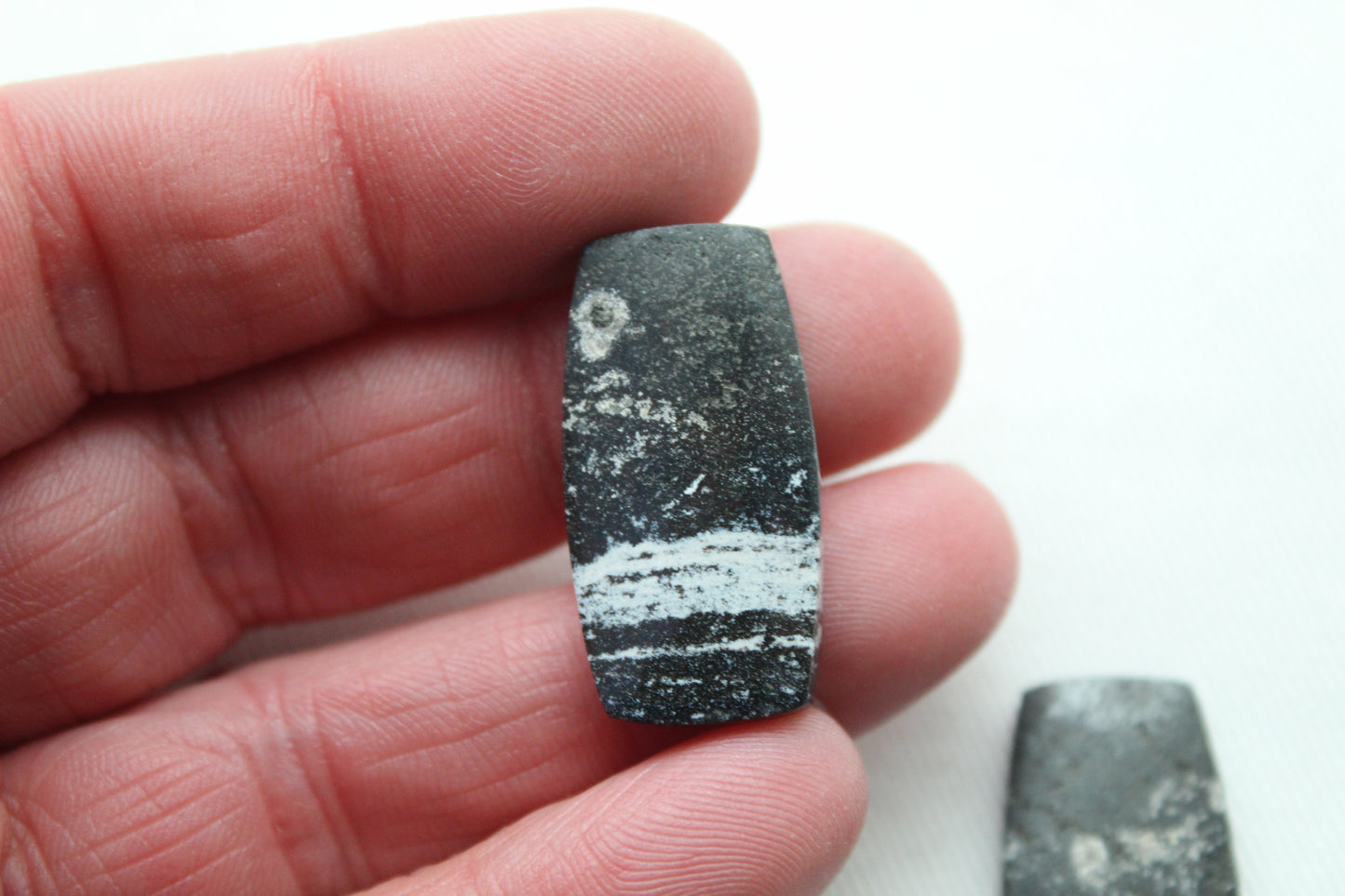 Pair of Petrified Wood Cabochons Rectangle