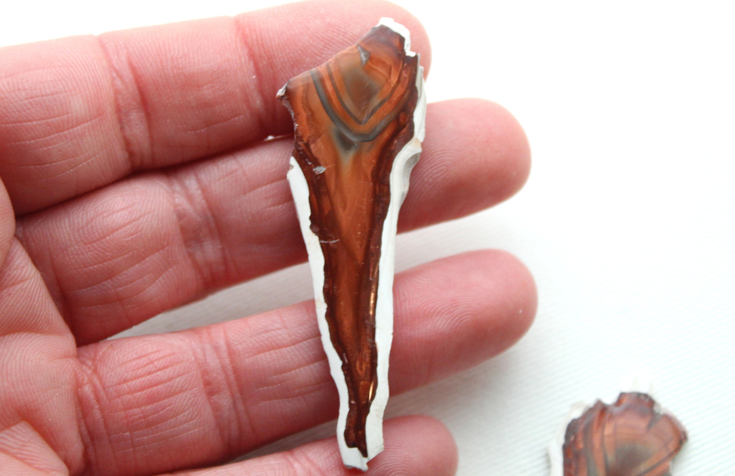 Sliced Agate Pair Gemstones freeform natural