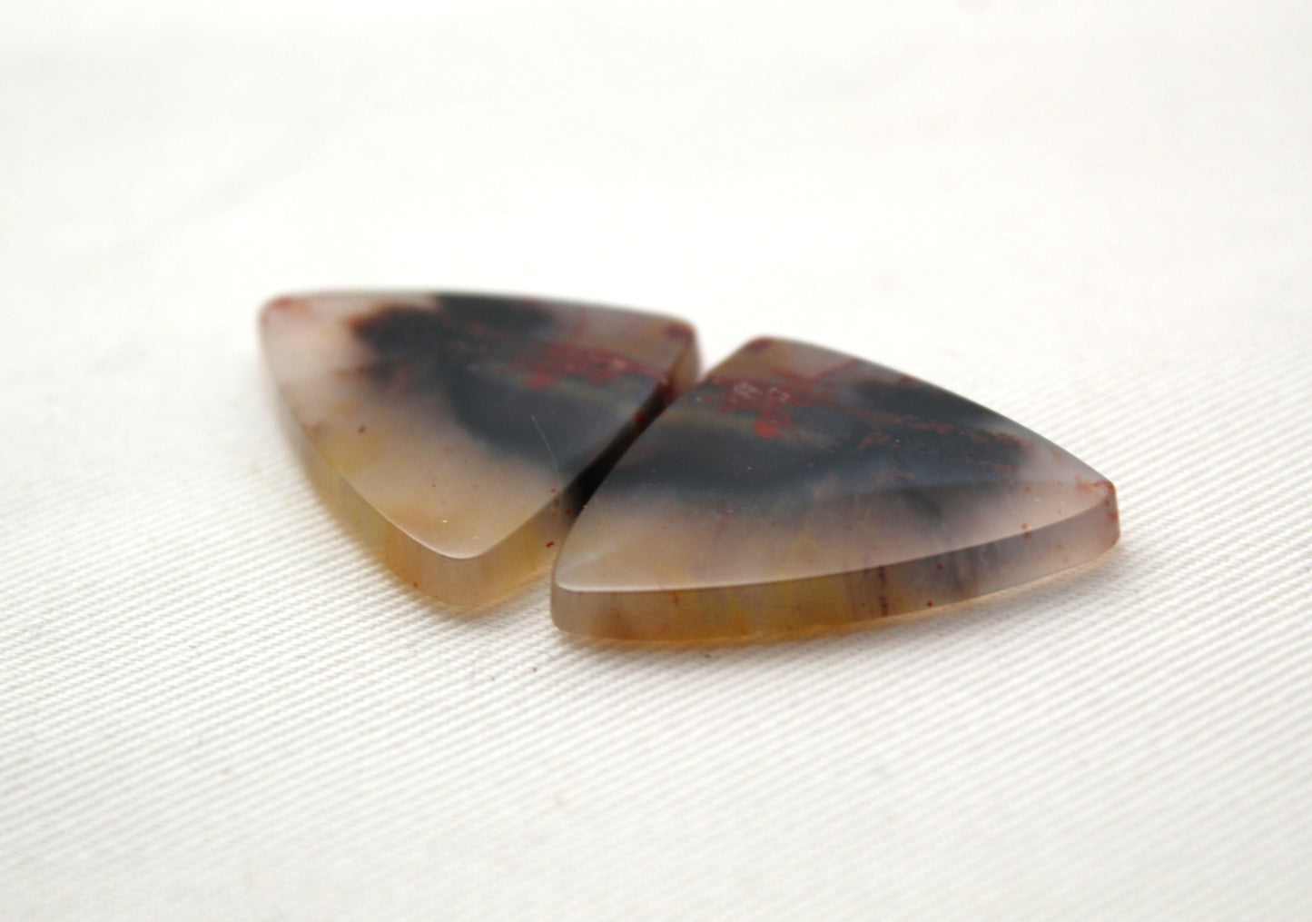 NICE pair of Petrified Wood Cabochons
