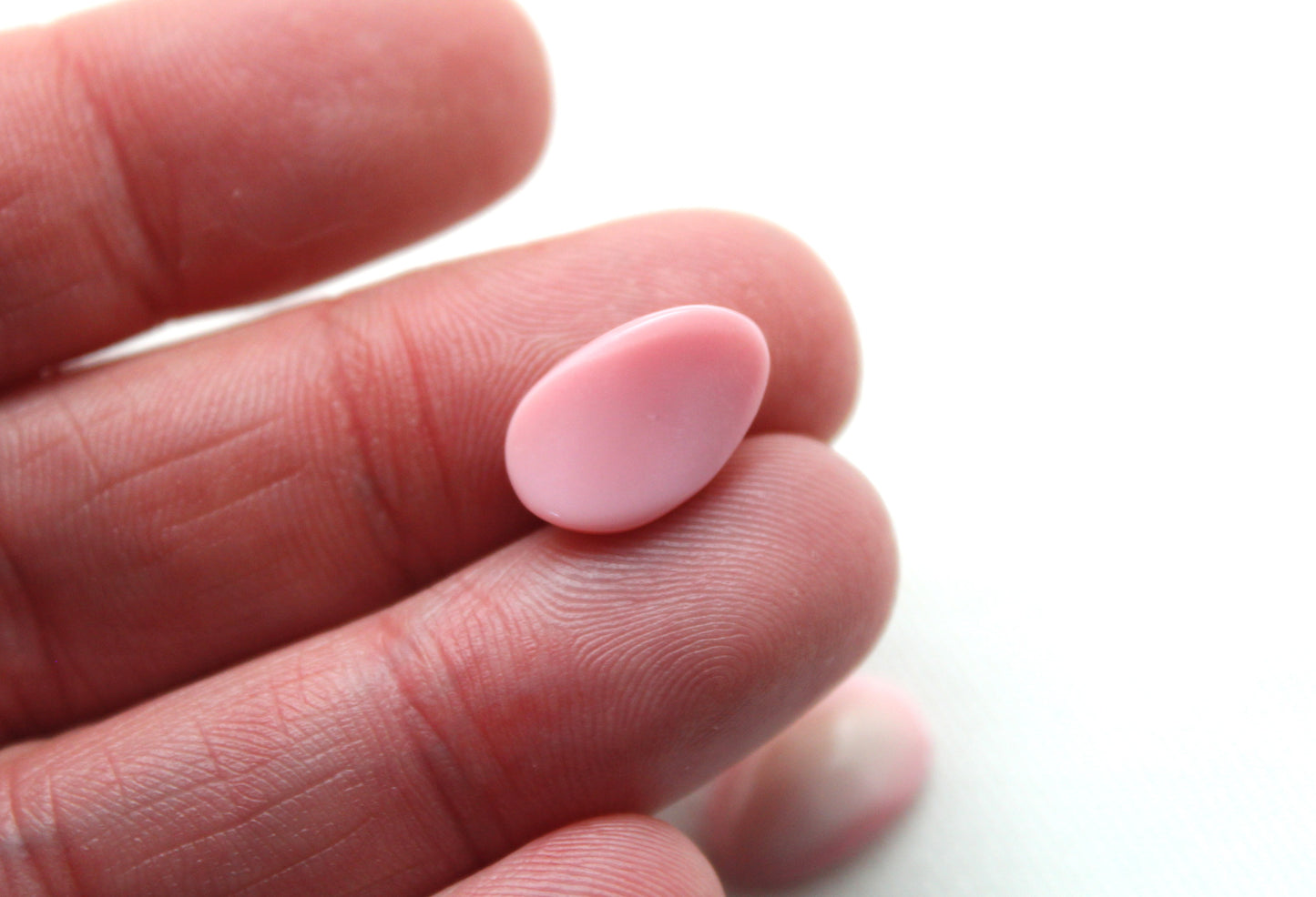 TWO Queen Conch Shell Petal freeform undrilled