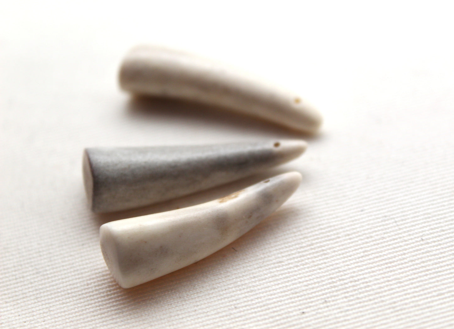 THREE small deer antlers tips DRILLED naturally shed