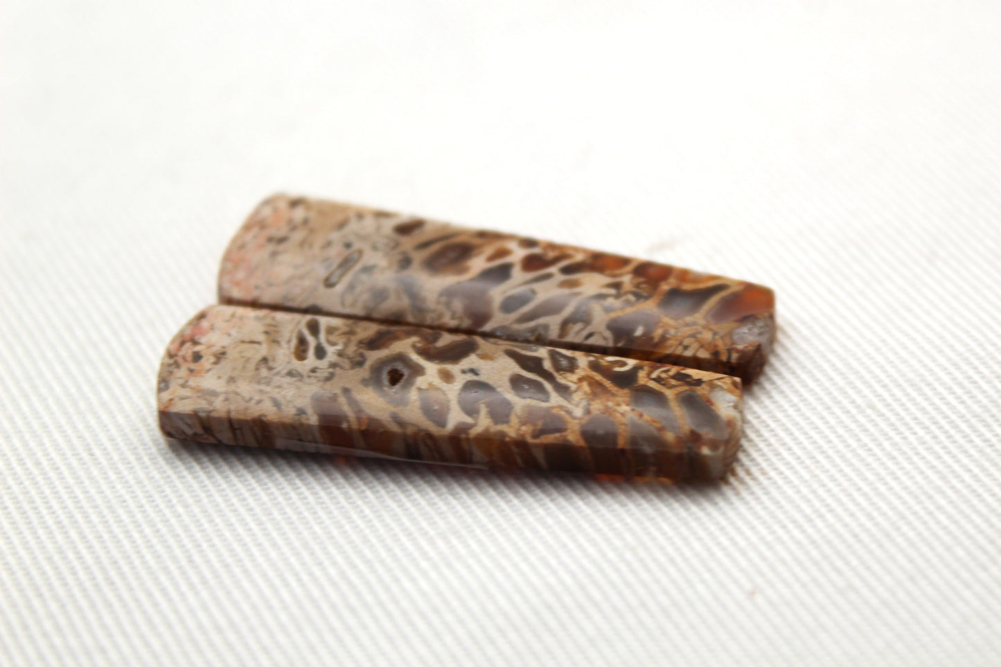 Fossil Palmwood Pair Cabochon Gemstone with druzy pockets