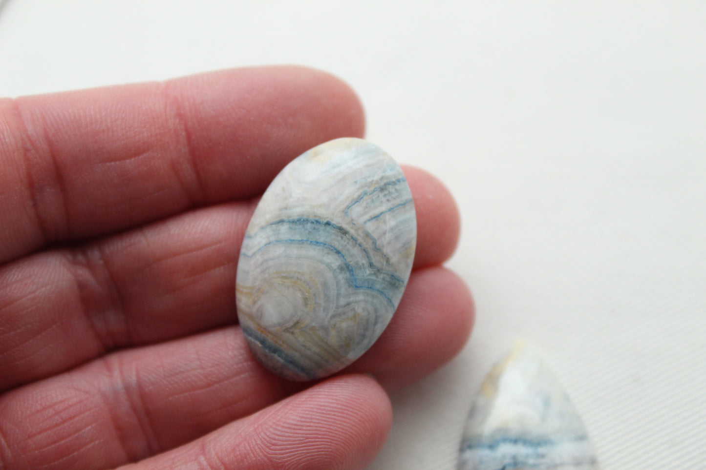 Fossil Palmwood Pair Cabochon Gemstone with druzy pockets Oval
