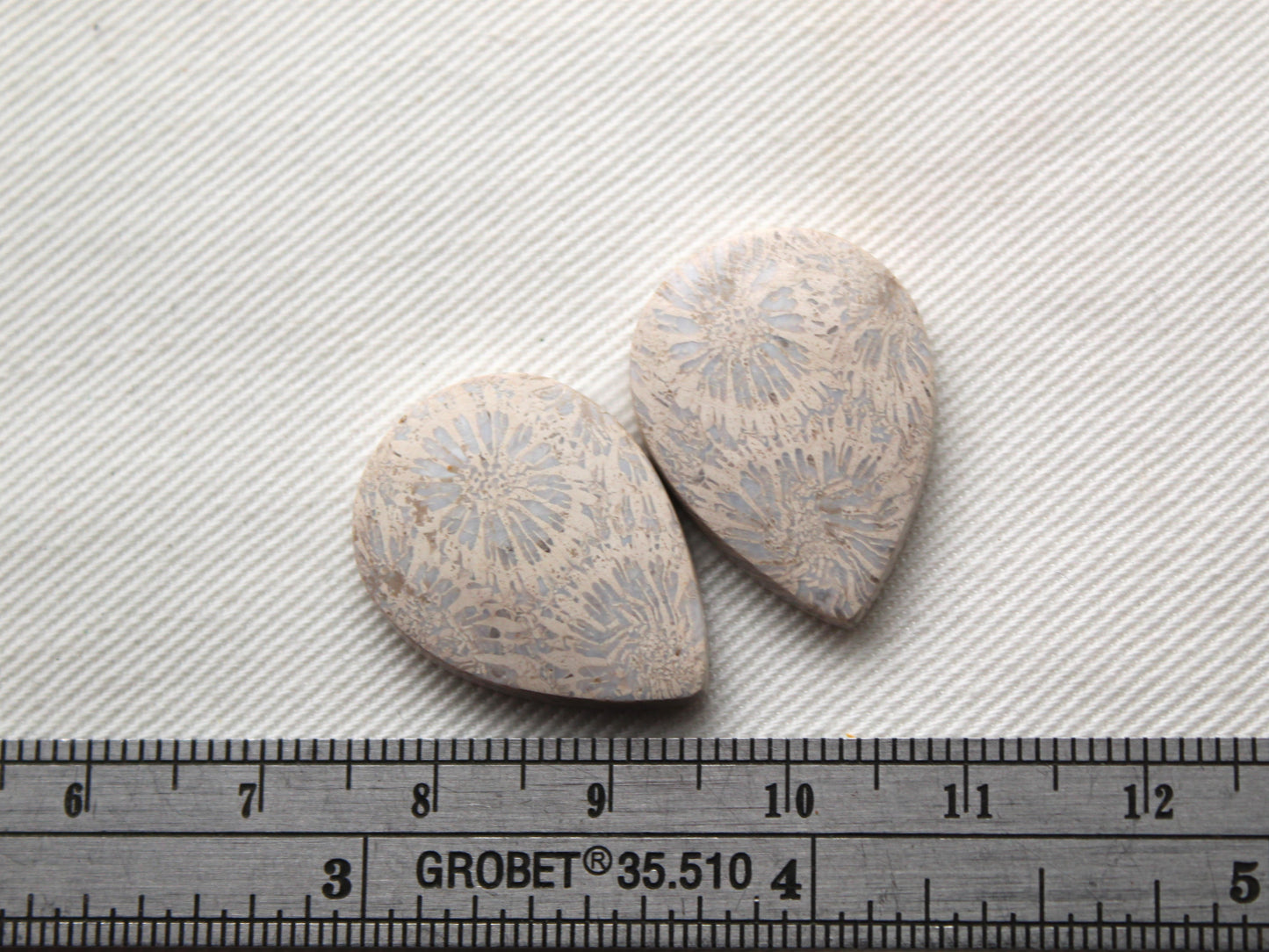Fossilized Coral Pair of Gemstones cabochon teardrop