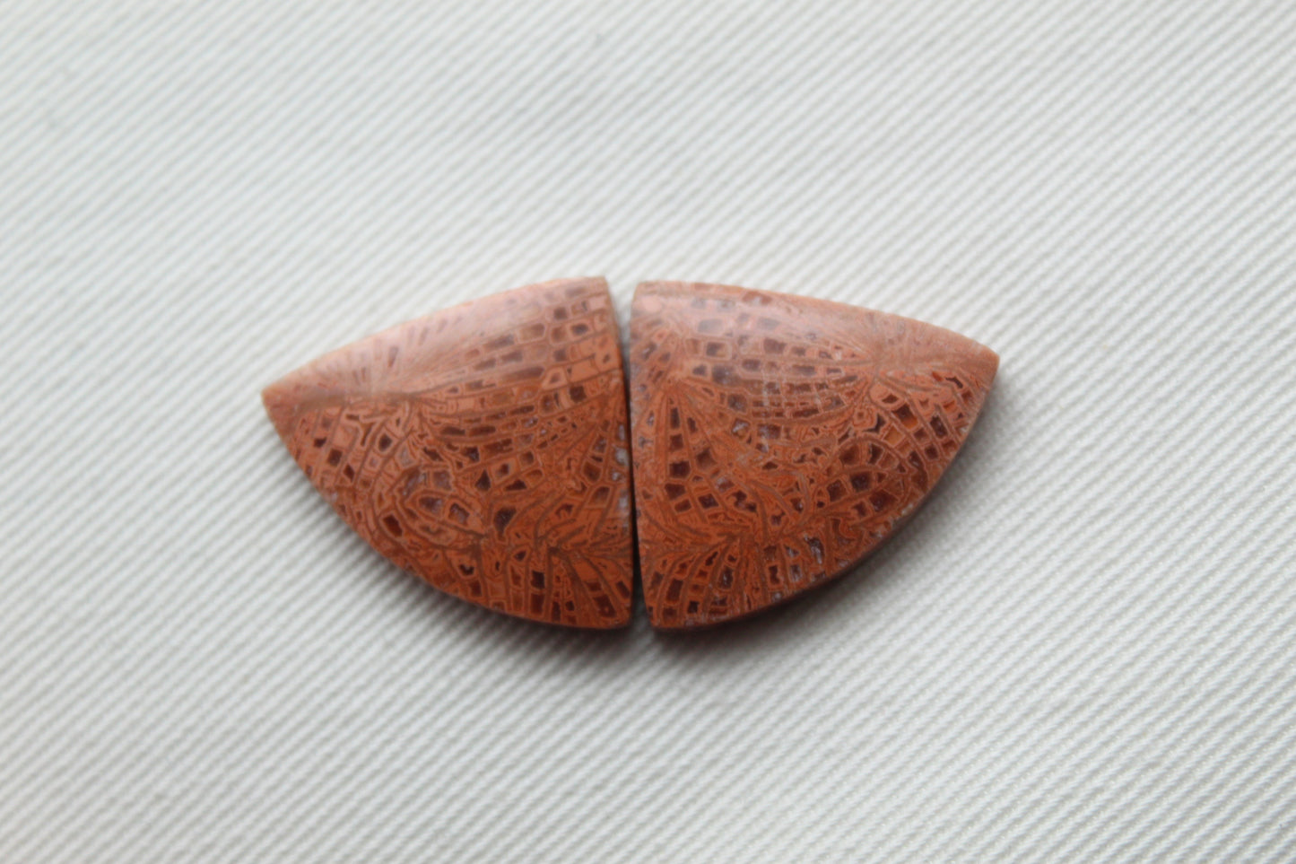 Pink Fossil Coral Pair of Gemstones cabochon triangle