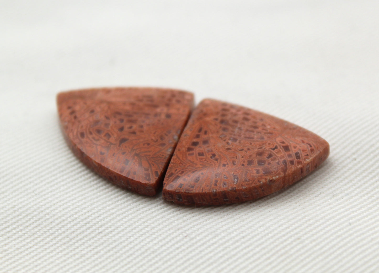 Pink Fossil Coral Pair of Gemstones cabochon triangle