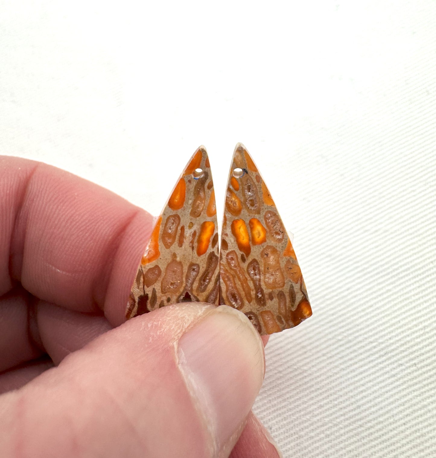 Fossil Palmwood Pair Cabochon Gemstone with druzy pockets DRILLED