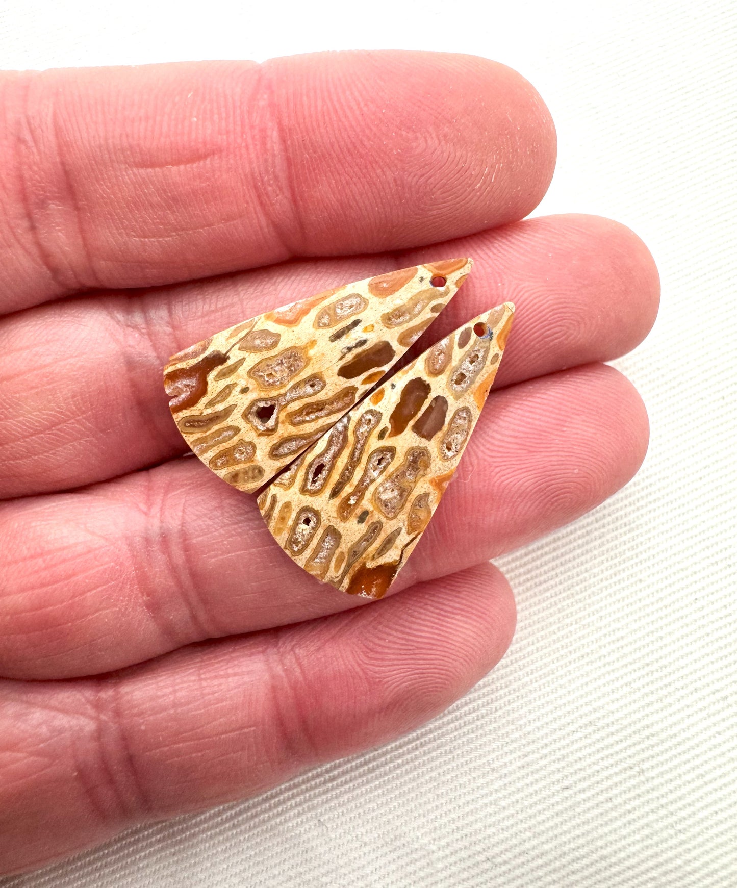 Fossil Palmwood Pair Cabochon Gemstone with druzy pockets DRILLED