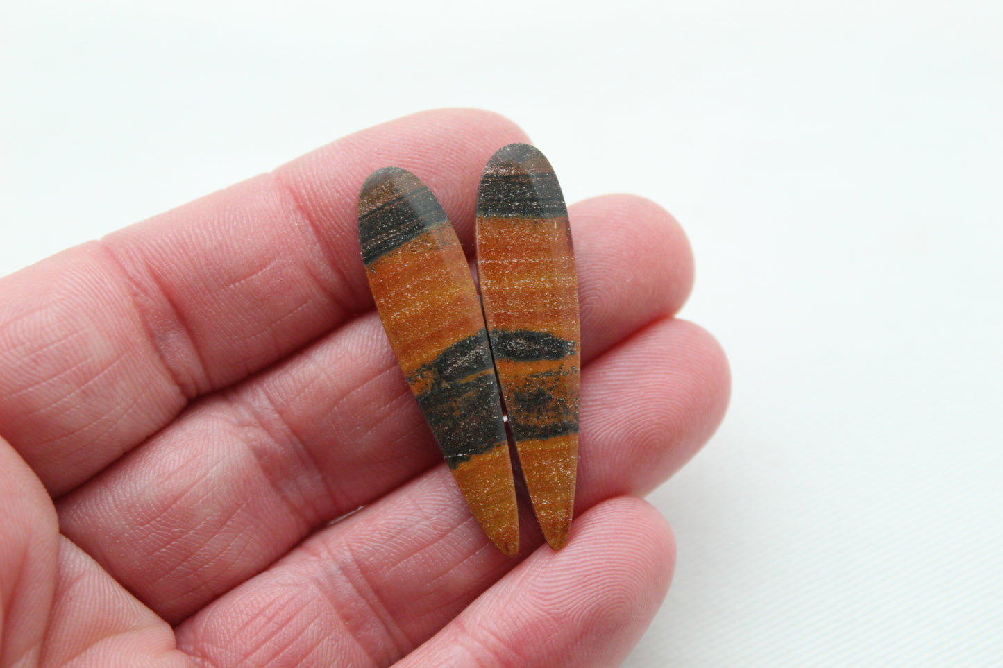 Australian Petrified wood Cabochon Pair teardrop