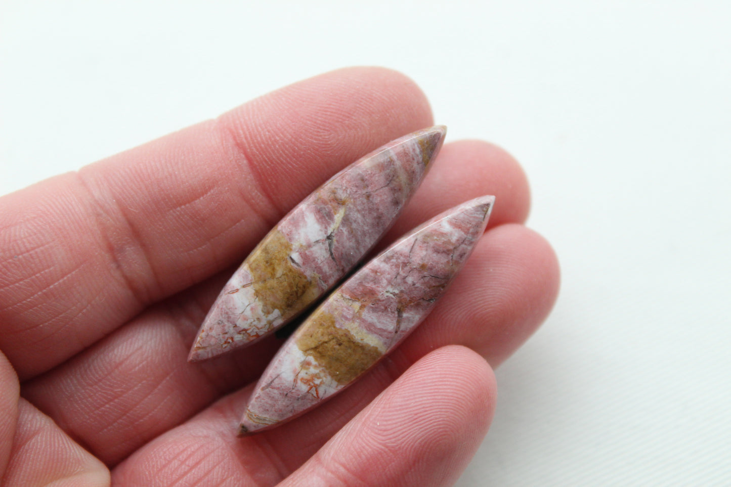 Pink Fossil Wood Pair of Gemstones cabochon natural marquise