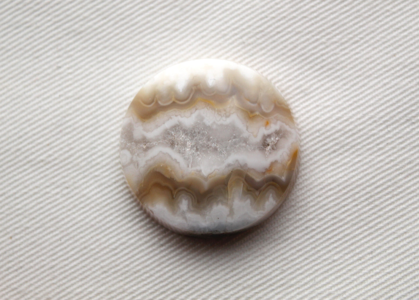 Fossil Palmwood Pair Cabochon Gemstone with druzy pockets Oval