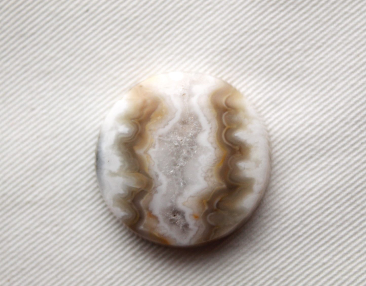 Fossil Palmwood Pair Cabochon Gemstone with druzy pockets Oval