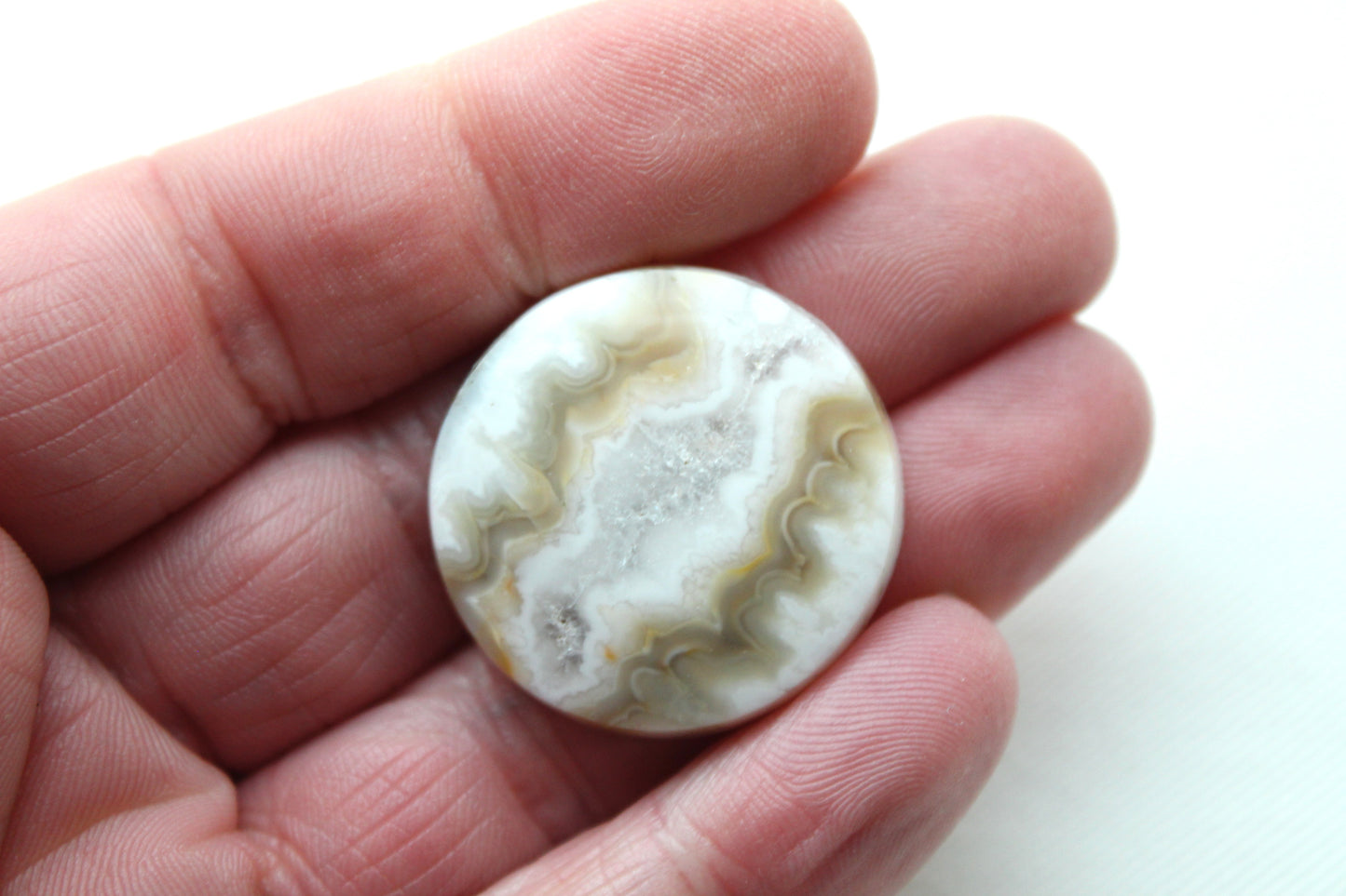 Fossil Palmwood Pair Cabochon Gemstone with druzy pockets Oval