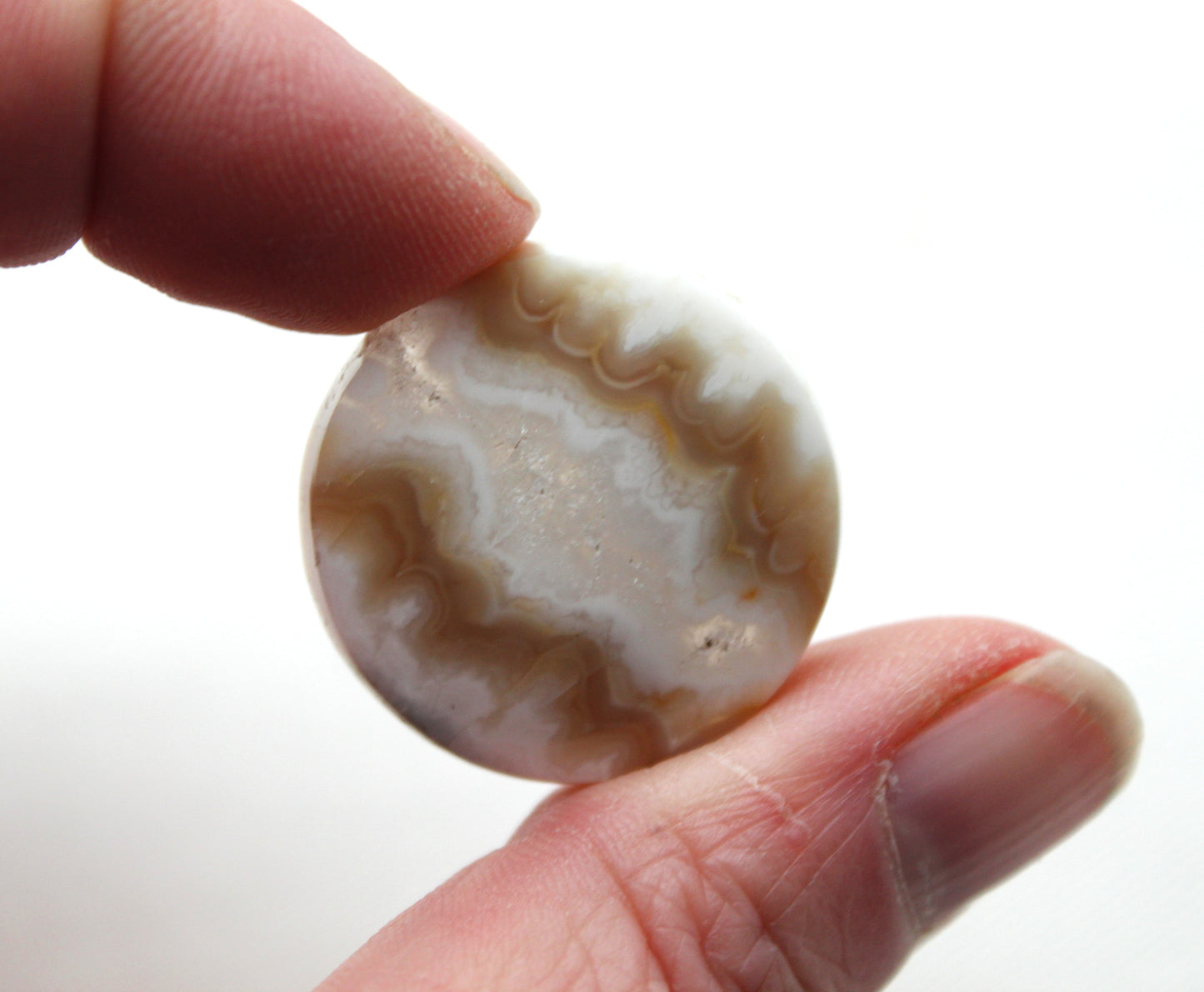 Fossil Palmwood Pair Cabochon Gemstone with druzy pockets Oval