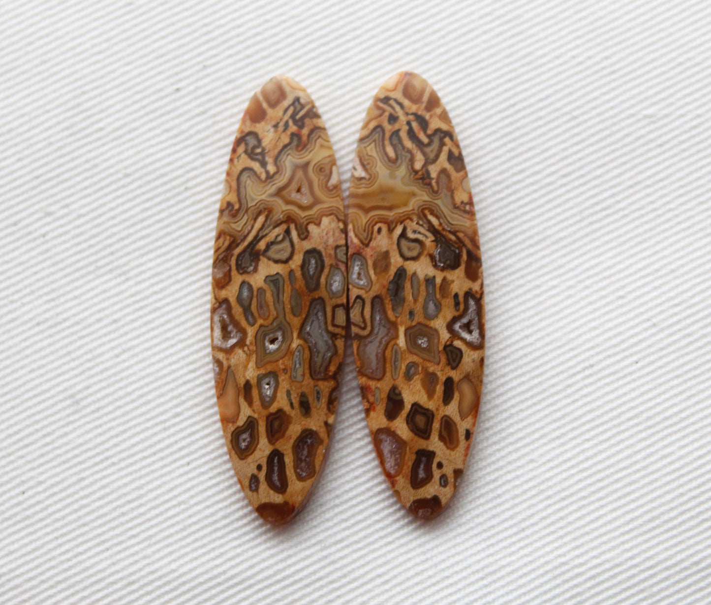 Fossil Palmwood Pair Cabochon Gemstone with druzy pockets Oval