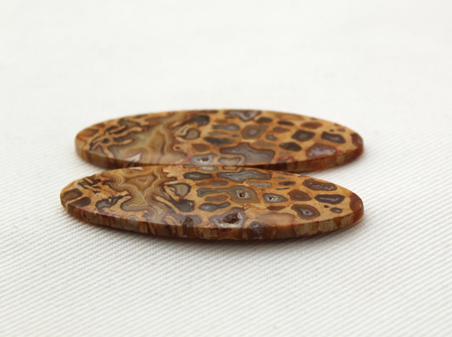 Fossil Palmwood Pair Cabochon Gemstone with druzy pockets Oval