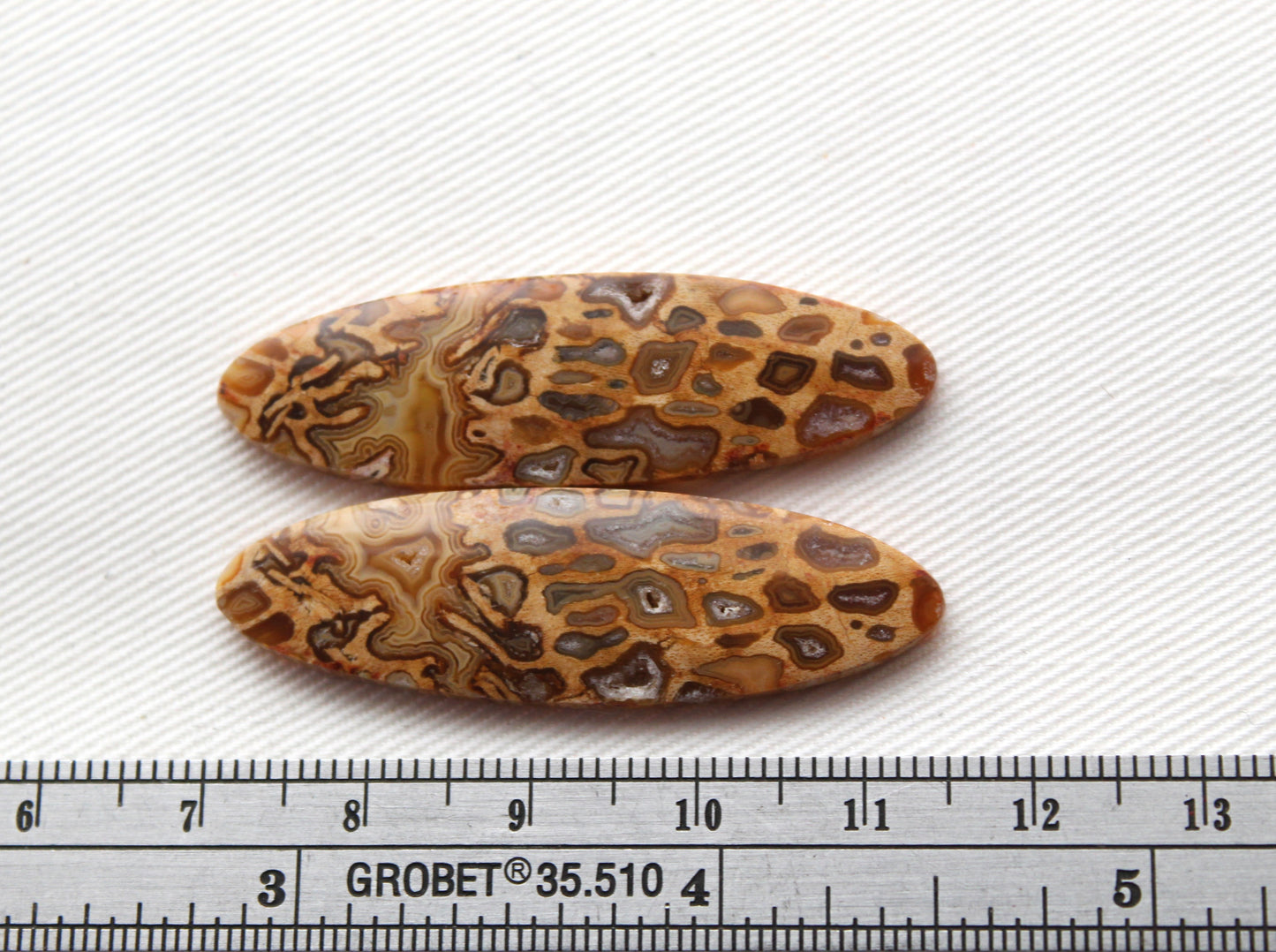 Fossil Palmwood Pair Cabochon Gemstone with druzy pockets Oval