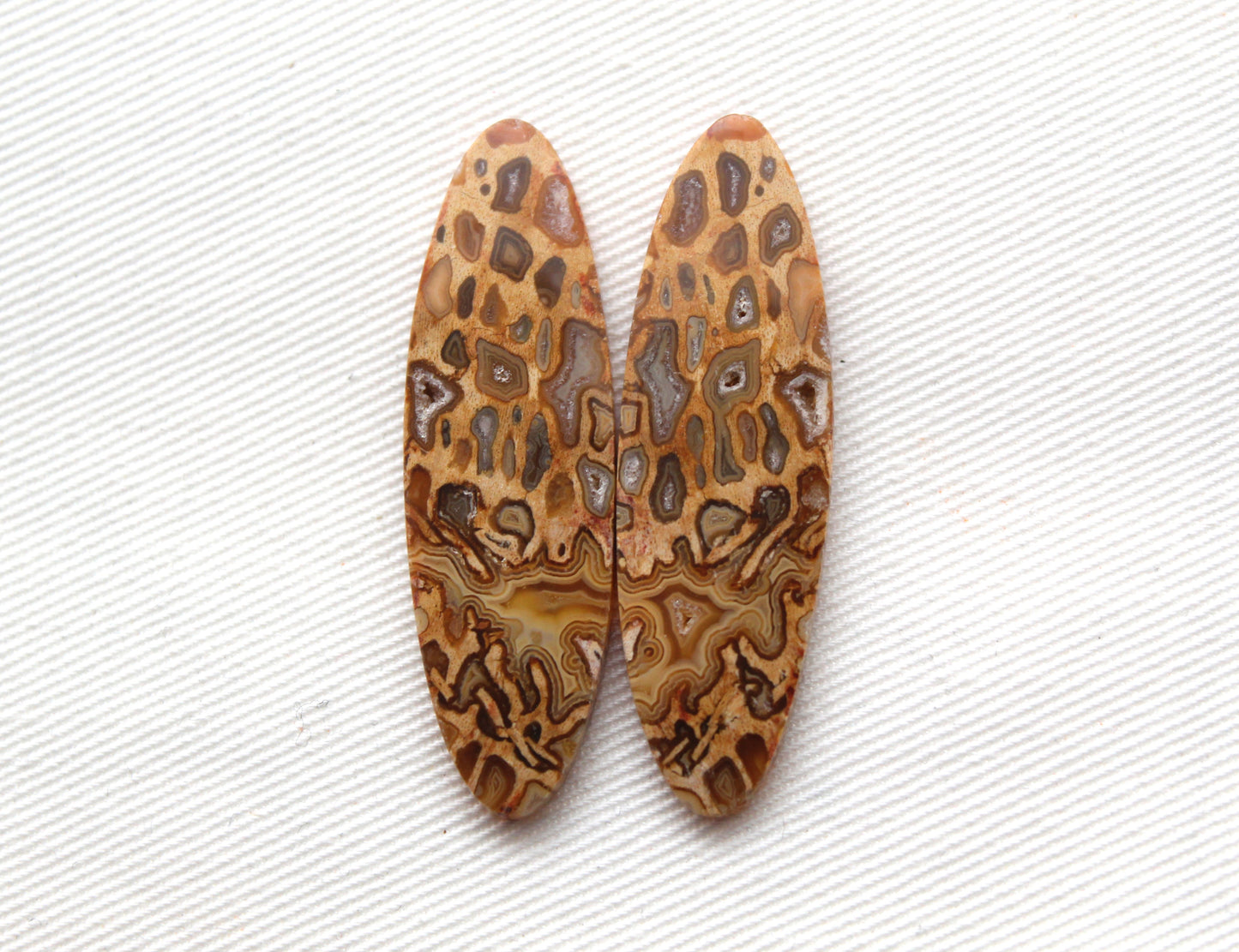 Fossil Palmwood Pair Cabochon Gemstone with druzy pockets Oval