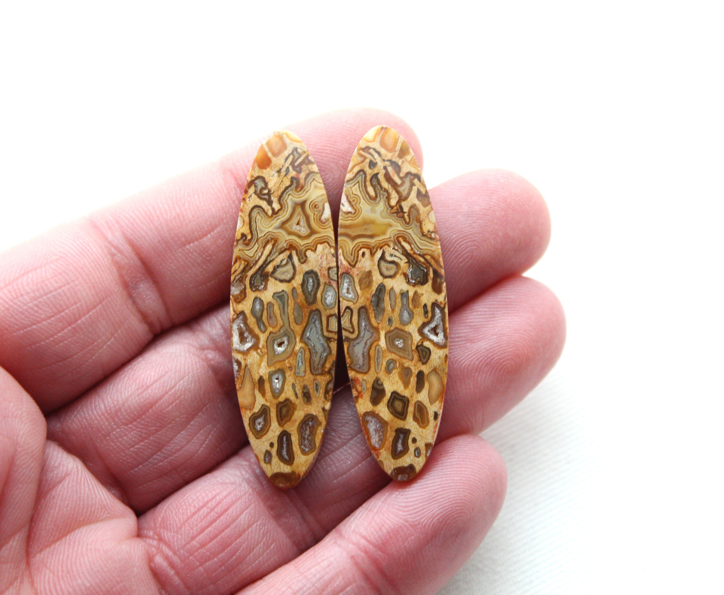 Fossil Palmwood Pair Cabochon Gemstone with druzy pockets Oval
