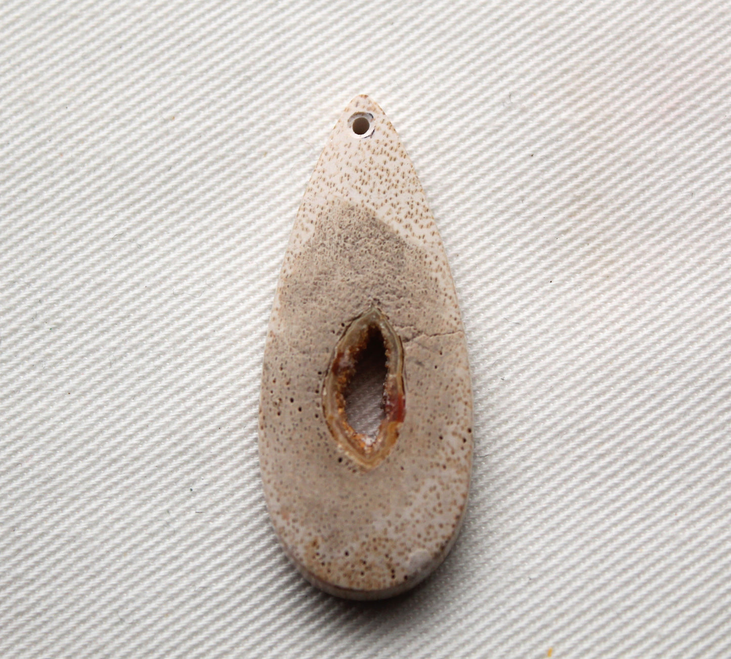 Worm Hole Petrified Wood Cabochon gemstone natural DRILLED