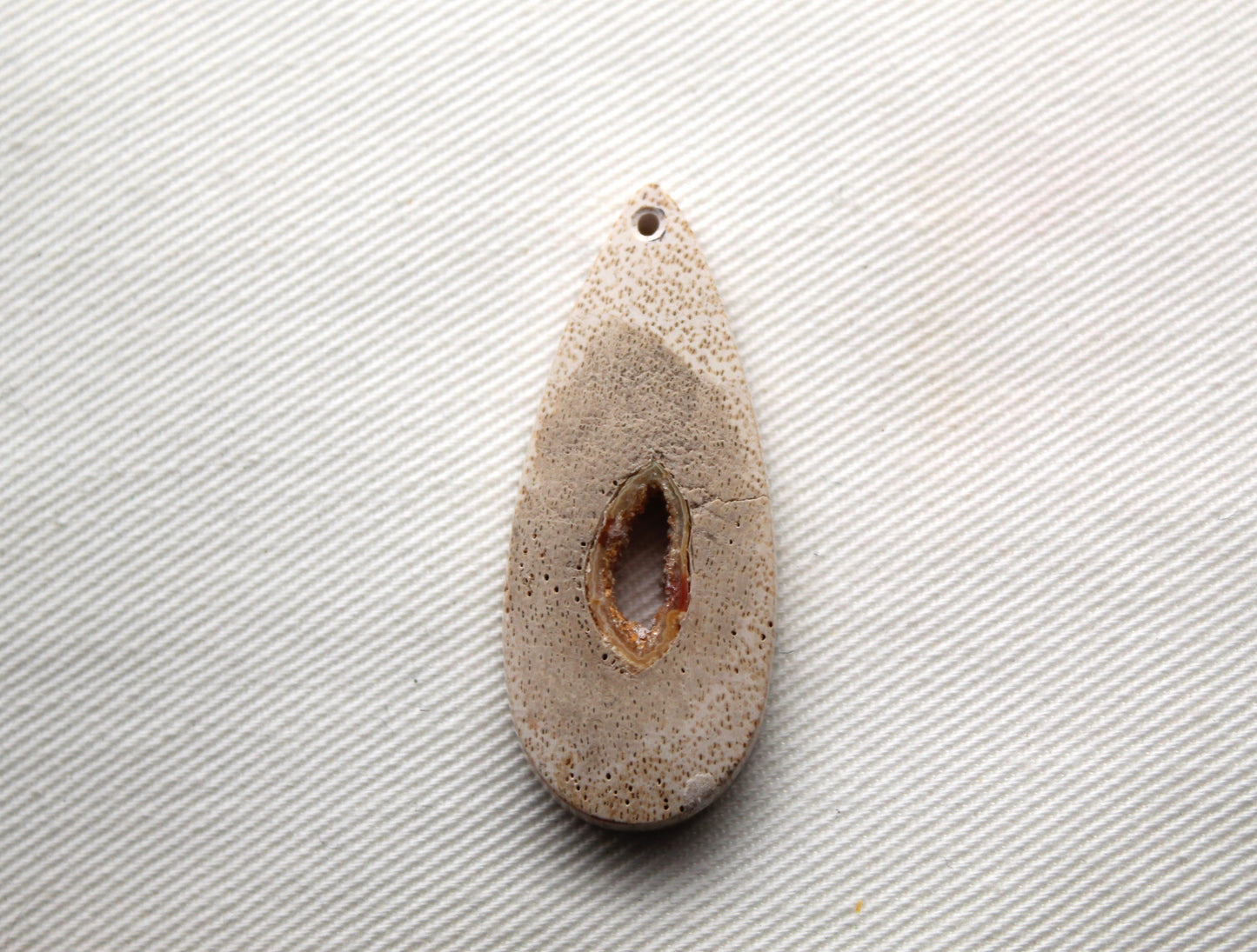 Worm Hole Petrified Wood Cabochon gemstone natural DRILLED