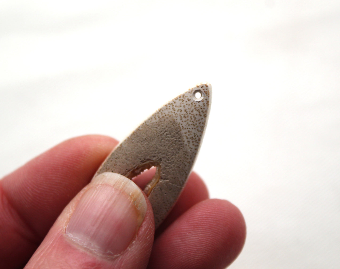 Worm Hole Petrified Wood Cabochon gemstone natural DRILLED