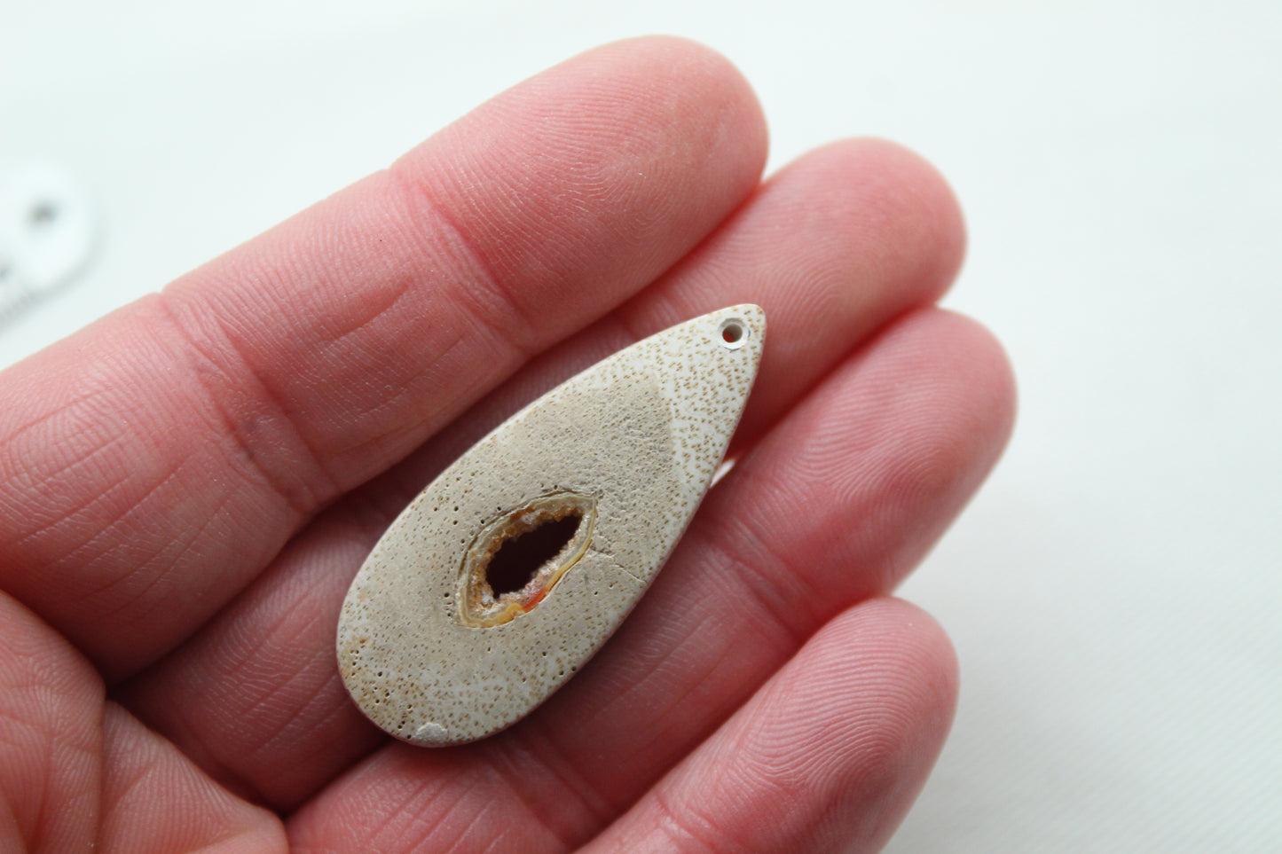 Worm Hole Petrified Wood Cabochon gemstone natural DRILLED